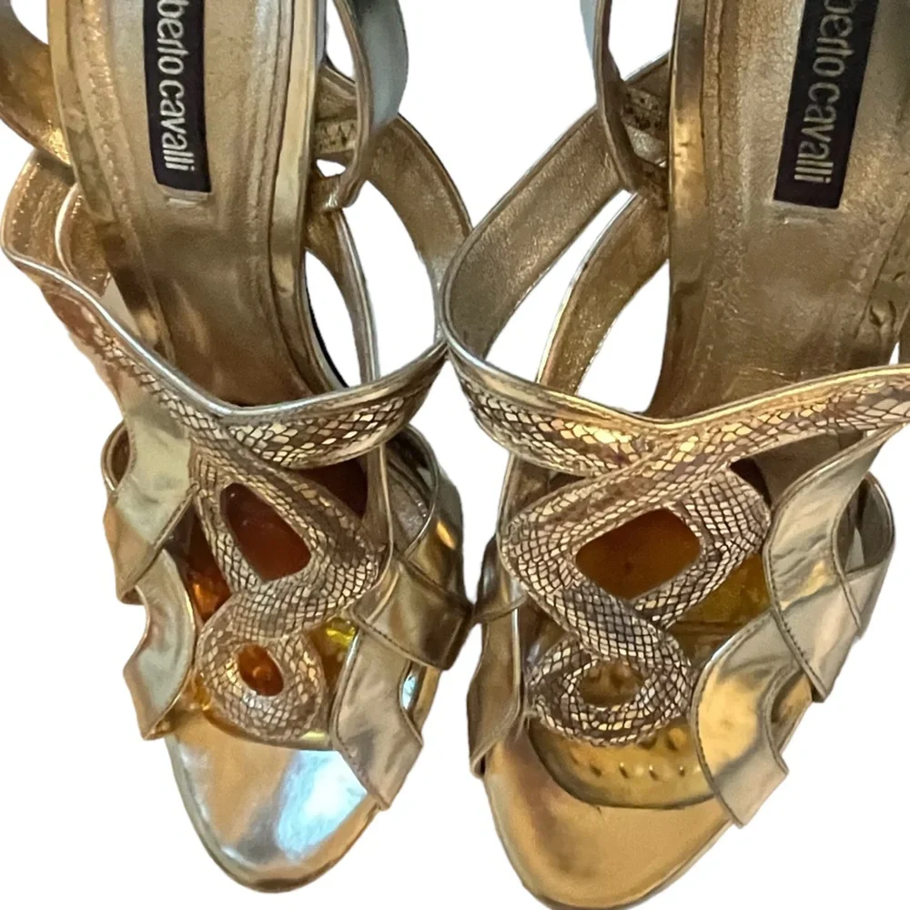 Roberto Cavalli roberto cavalli